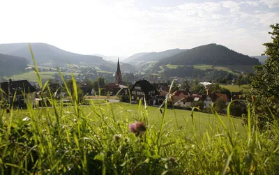 Blick auf Baiersbronn - Baiersbronn Touristik - © Baiersbronn Touristik