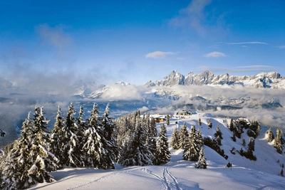 Blick auf das Dachsteinmassiv - Schladming-Dachstein - © Schladming-Dachstein