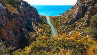 Blick auf den Palmengarten von Preveli - Dirk Klüners