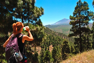 Blick auf den Teide - Melanie Nöllen