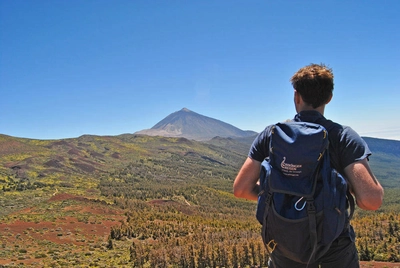 Blick auf den Teide - Melanie Nöllen