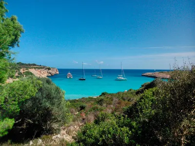 Blick auf die Cala Varques - Nicolai Spieß