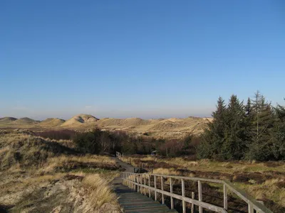 Blick auf die Dünenlandschaft - Pension Anka