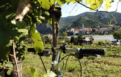 Blick auf Dürnstein an der Donau - Steve Haider - © Donau Niederösterreich/Haider