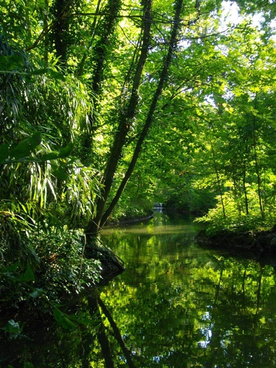 Bois de Boulogne - David Schulte