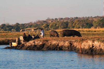 Bootsafari im Chobe-NP - Sascha Thom