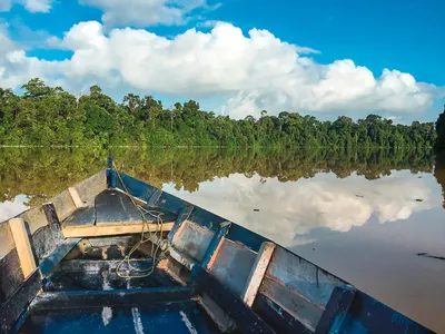 Bootsfahrt auf dem Kinabatangan-Fluss - Juanamari Gonzalez - © Juanamari Gonzalez / adobe.com