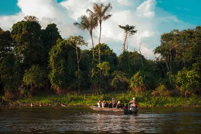 Bootsfahrt im Tambopata-Naturreservat - marina / Adobe.com - © marina / Adobe.com