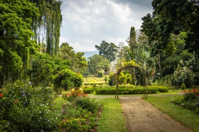 Botanischer Garten in Kandy - Andrea Aigner - © Andrea Aigner / Adobe.com