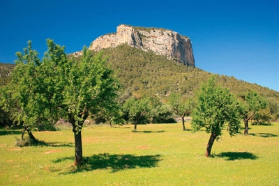 Burg Alaró - Michael Ahrens