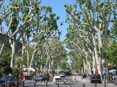 Cours Mirabeau in Aix-en-Provence - David Schulte