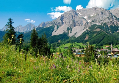 Das Ramsau-Hochplateau - Gerd Thiel