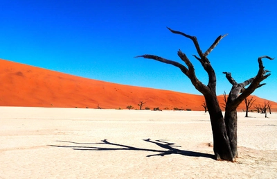 Deadvlei, Namib Wüste - Eva Machill-Linnenberg