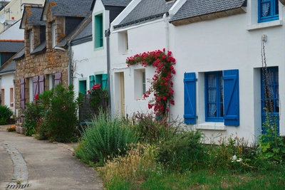 Dorfstraße auf der Île d’Houat - Carmen Rameil