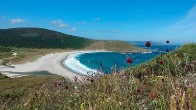 Einsamer Strand in Galicien - Lisa Loban