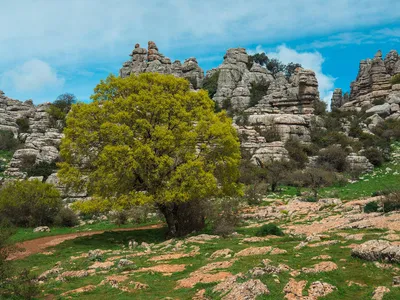 El Torcal de Antequera - Stephanie Lühmann