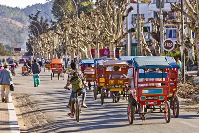 Erkundung Antananarivos per Rikscha - Paul Sutton