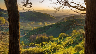 Frühjahr am Kaiserstuhl - Naturgarten Kaisterstuhl - ©NGK, Schröder-Esch