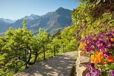 Frühling in Südtirol - IDM Südtirol / Stefan Schütz