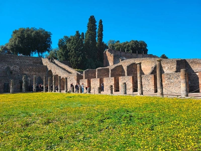 Frühlingsblüte in Pompeji - Mareike Potrikus