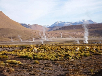 Geysire von El Tatio - Eva Bischoff