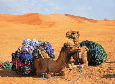 Gepäcktransport in der Erg Chebbi Wüste - Gerd Thiel