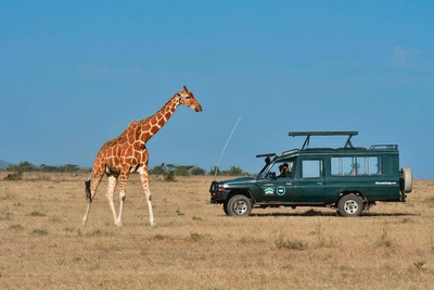 Giraffe und Safarijeep - Robert Wälter