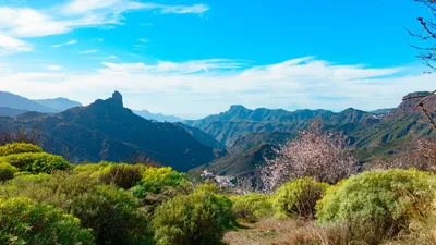 Gran Canarias Bergland im Frühling - captiva / Adobe.com - © captiva / Adobe.com