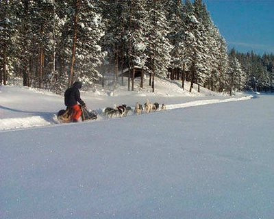 Hundeschlitten - Hotel Jokkmokk