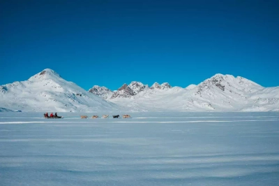 Hundeschlitten in Tasilaq - ykumsri - ykumsri / Adobe.com