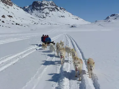 Hundeschlittentour Grönland - Anna Joswig