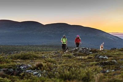 Huskywanderung - Harriniva Hotels & Safaris - © Harriniva Hotels & Safaris