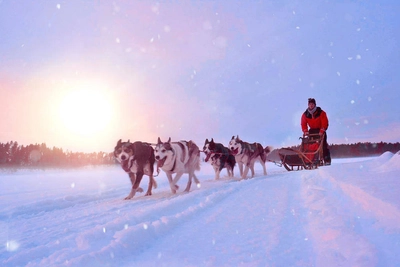 Huskysafari in Schwedisch-Lappland - Eric Salewski