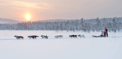 Huskyschlitten-Tour - Anna Öhlund - Anna Öhlund / imagebank.sweden.se