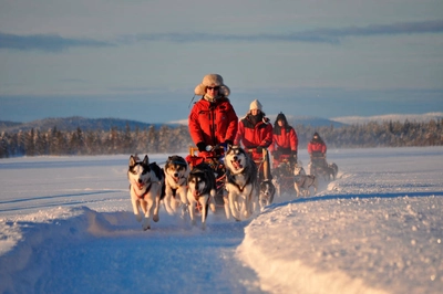 Huskytour - Lapplands Drag