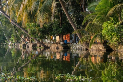 Idylle in den Backwaters - Sven Frormann