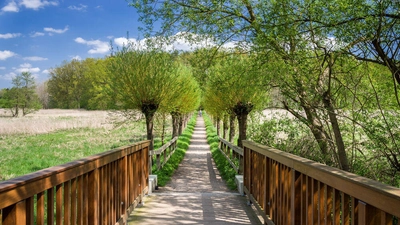 Ilmenaubrücke in Bad Bevensen - Carl-Jürgen Bautsch - © Carl-Jürgen Bautsch/ adobe.com