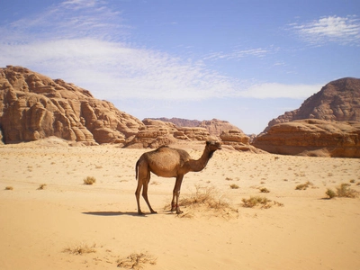 Im Wadi Rum - Sascha Thom