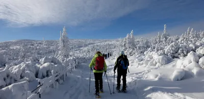 Im Winterwunderland - Holger Schwenk