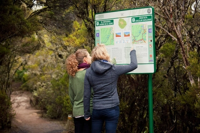 Im Garajonay-Nationalpark - Turismo Canarias - © Turismo Canarias