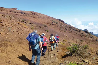 Im Haleakala-NP - Lena Bohndorf