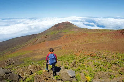 Im Haleakala-NP - Darek Wylezol