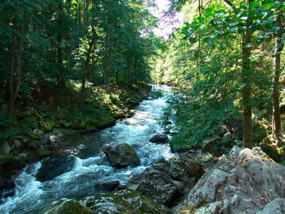 Im Ilztal - Landkreis Freyung-Grafenau - © Landkreis Freyung-Grafenau