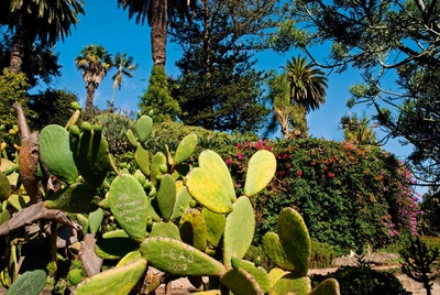 Im Jardim Botânico - Gerd Thiel