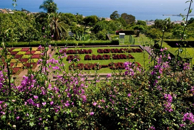 Im Jardim Botânico - Gerd Thiel