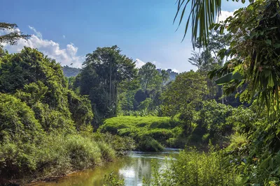 Im Khao Sok-NP - Hors/iStockphoto