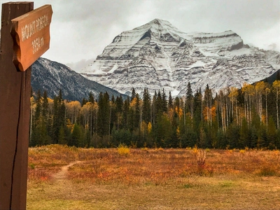 Im Mount Robson Provincial Park - Sascha Thom