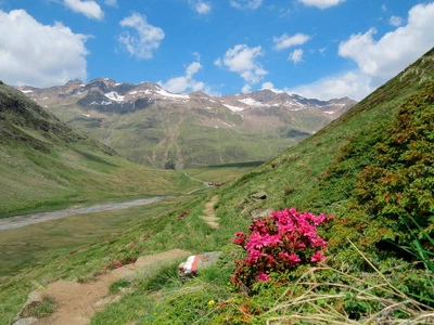 Im Rotmoostal – Ötztal - Claudia Ortel