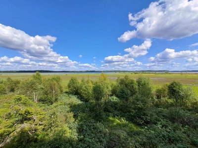 Im Store Mosse Nationalpark - Franziska Wilhelm