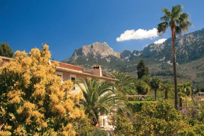 Im Tal von Sóller - Michael Ahrens